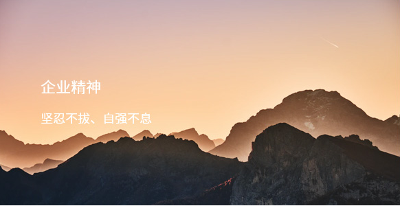 企業(yè)精神